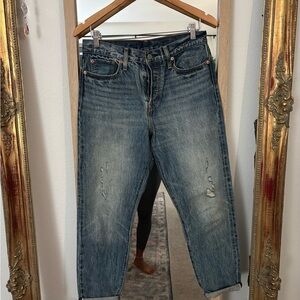 Levi's Women's Straight Jeans in Blue